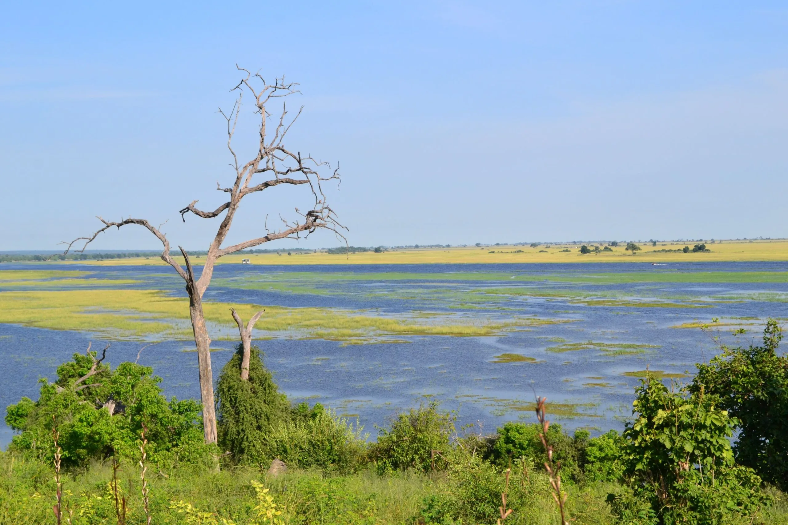 Aerial view of the Okavango Delta's flooded plains and channels spreading across the Kalahari